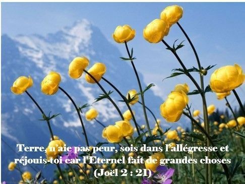 chapitre 3 verset 18-24
